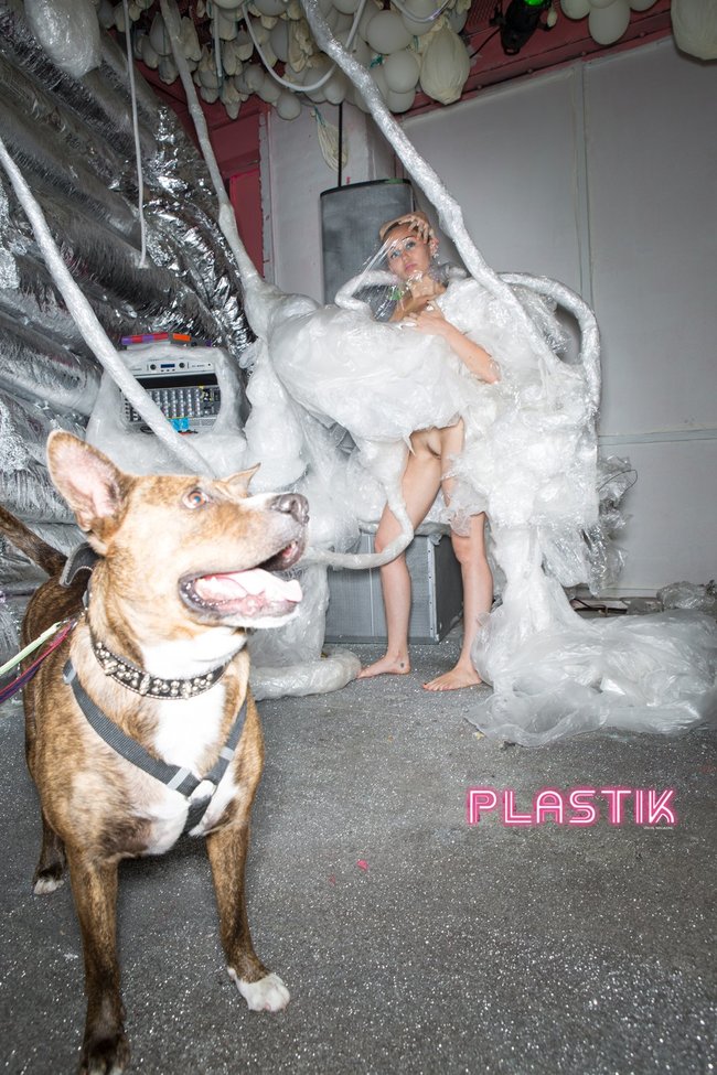 Голая Майли Сайрус окончательно потеряла стыд на страницах Plastik Magazine: miley-cyrus-1_Starbeat.ru