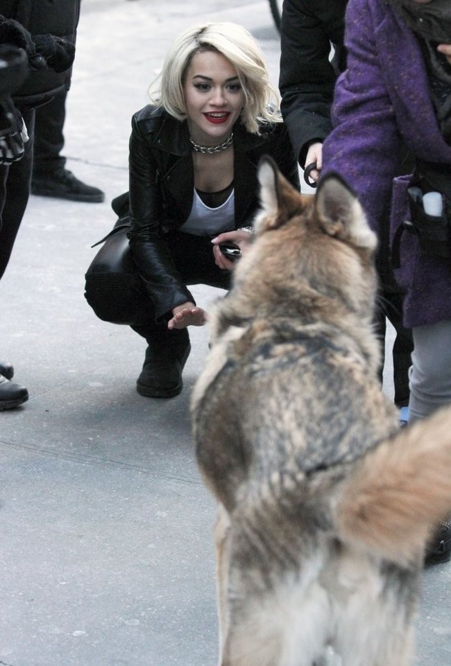 Рита Ора на съемках рекламы для «DKNY» в Нью-Йорке: rita-ora---on-set-of-a-dkny-in-nyc--01_Starbeat.ru